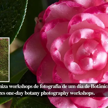 Casadacidade בית הארחה Ponta Delgada