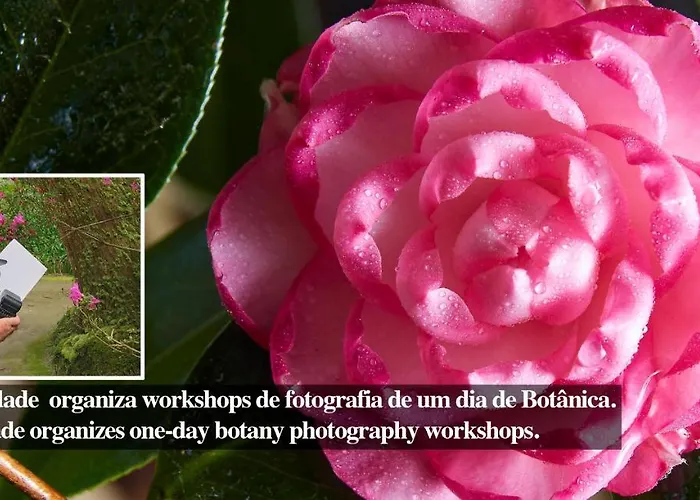 Casadacidade ゲストハウス ポンタ・デルガダ